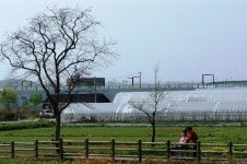 : 사진마을 : - 조용한 효도 조용한 효도