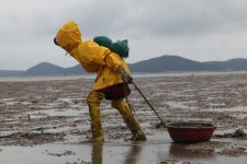 : 사진마을 : - 부활하는 태안의 빛 그리고 색 - 김경진 부활하는 태안의 빛 그리고 색 - 김경진