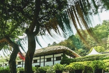 : 사진마을 : - 모시마을은...! 모시마을은...!