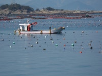 : 사진마을 : - 청산도 소경(小景) 7 청산도 소경(小景) 7