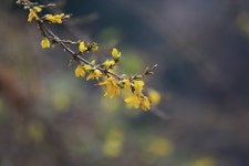 : 사진마을 : - 길섶에서 본 색다른 색 길섶에서 본 색다른 색