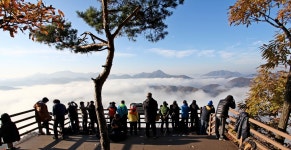 : 사진마을 : - 붕어섬의 아침 붕어섬의 아침