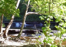 Rock Creek, OH : Rock Creek, Ohio photo, picture, image (Ohio) at city-data.com