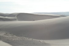 St. Anthony, ID : Sand Dunes at St Anthony photo, picture, image (Idaho) at city-data.com