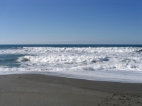 Ocean Park, WA : Klipsan Beach near Ocean Park, Washington photo, picture, image (Washington) at city-data.com