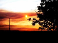 Los Banos, CA : n. mercy Springs road and Wilmont photo, picture, image (California) at city-data.com