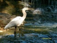 Bella Vista, AR : Bella Vista Arkansas photo, picture, image (Arkansas) at city-data.com