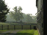 Lexington-Fayette, KY : Mill Ridge horse farm photo, picture, image (Kentucky) at city-data.com