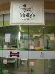 mollys pet shop | Gyeonggi-do 용인 기흥구 용구대로 2457