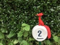 Castlex Golf & Resort | 제주도 서귀포 평화로 1241