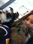 이리온 Animal Hospital | 서울 강남구 도산대로 445