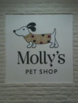 mollys pet shop | Gyeonggi-do 용인 기흥구 용구대로 2457
