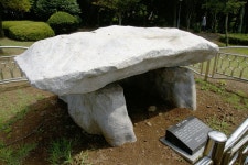 DSLR - a700+신번들(신산공원)