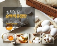 [신선생] 상하농원 유정란 20구 - 특가대표! 위메프 [신선생] 상하농원 유정란 20구 14,900원 ▶ 구경하러가기