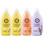 [[투데이특가] 해피바스 바디워시 4개] 특가대표! 위메프  [투데이특가] 해피바스 바디워시 4개 14,900원 ▶ 구경하러가기