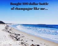 Gasoline | Young Gods Amino