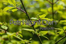 ✧ Pets I Won’t Own 🔥 | Pets Amino