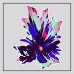 Noriko | Wiki | ㅡ JUJUTSU KAISEN Amino