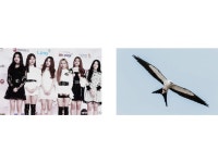 August Selca Day | (G)I-DLE (여자)아이들 Amino