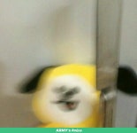 When ur friends talk trash about ur parents | Jays Badass Amino Amino