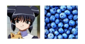 Tokyo Mew Mew As F r u i t s. | Neko Amino