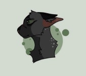 Commissions | Wiki | Warriors Amino