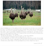 오늘의유머 - 헐....교통체증속에 속도도 안줄이고.... 헐....교통체증속에 속도도 안줄이고....
