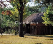 국내작가포토 - 클립아트코리아 :: 통로이미지(주) __적합한콘텐츠,가을,계절,공원,나무,낮,민속촌,시골집,실외,에디토리얼,주택,한국