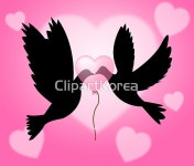 해외작가포토 - 클립아트코리아 :: 통로이미지(주) V사인,__적합한콘텐츠,비둘기,비행,야생동물,자유,조류,평화,하늘,해외포토