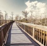 해외작가포토 - 클립아트코리아 :: 통로이미지(주) __적합한콘텐츠,고요... [일몰],자연,자유,파라다이스,편안함,평화,풍경[경치],플로리다주... 