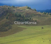 주) __적합한콘텐츠,가을,강,나무,날씨,노란색,땅,무지개,미스테리,백그라운드,비,산,숲,시베리아,아름다움,아침,안개,어둠,여름,여행,연못,오지... 