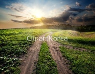 사람없음,색,성장,숲,시골,시골길,실외,아침,안개,언덕,일출[일몰],자연,저녁,초록색,태양,파란색,풀[식물],풀밭,풍경[경치],하늘,해외포토,햇빛,활력