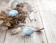 해외작가포토 - 클립아트코리아 :: 통로이미지(주) 4월,__적합한콘텐츠,계절,깃털,꽃,누끼,달걀,동물,둥지,목재,바구니,백그라운드,볏짚,봄,부활절... 