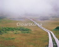 국내작가포토 - 클립아트코리아 :: 통로이미지(주) __적합한콘텐츠,구름,길,돌다리,들판,안개,웅덩이,자연,초원,통나무,풀,풀밭