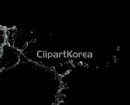 국내작가포토 - 클립아트코리아 :: 통로이미지(주) __적합한콘텐츠,깨끗함,단순,모션,물,물방울,백그라운드,사람없음,순간포착,스튜디오,시원함... 