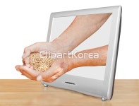 멀티미디어,모니터,밀,비디오,성장,손,손바닥,수확,숙성,스크린,시골,식물,심벌,씨,얇음,옥수수,은,잡기,재배,제스처,직업인,진열,컴퓨터,해외포토... 