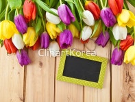 통로이미지(주) __적합한콘텐츠,고요,꽃,꽃다발,노란색,목재,밝음,백그라운드,봄,빛,빨간색,사랑,색,생일,선물,시골풍,식물,신선,얼룩무늬,장식,점... 