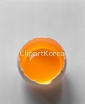 해외작가포토 - 클립아트코리아 :: 통로이미지(주) 1,__적합한콘텐츠,껍질,노른자,누끼,단순,달걀,반죽,신선,열림,음식재료,파손,패스트리,해외포토... 