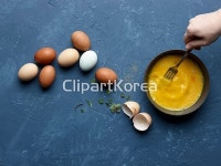 해외작가포토 - 클립아트코리아 :: 통로이미지(주) __적합한콘텐츠,거품기,날것,노른자,단순,달걀,동작,손,신선,암탉,어른,열림,음식재료,접시... 
