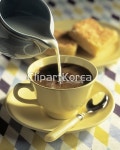 (주) __적합한콘텐츠,광선,붓기,사람없음,아웃포커스,엎지르기,우유,음료,음식,커피,컵,클로즈업,해외포토,해외프리미엄콜렉션,흐름,흘리기
