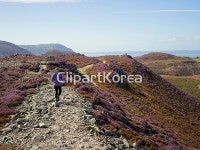해외작가포토 - 클립아트코리아 :: 통로이미지(주) __적합한콘텐츠,걷기,낮,맑음,보행기,실외,여가,여자,여학생,여행,옷,자연,전신,편안함,풍경... 
