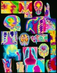 해외작가포토 - 클립아트코리아 :: 통로이미지(주) MRI,__적합한콘텐츠,다양함,라이트박스,엑스레이,해외포토,해외프리미엄콜렉션