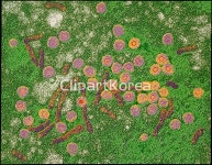 해외작가포토 - 클립아트코리아 :: 통로이미지(주) __적합한콘텐츠,미생물학,바이러스,생물학,해외포토,해외프리미엄콜렉션