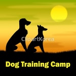 해외작가포토 - 클립아트코리아 :: 통로이미지(주) __적합한콘텐츠,강아지,교육,기술,반려동물,설명,캠핑,코치,트레이너,훈련