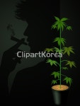 해외작가포토 - 클립아트코리아 :: 통로이미지(주) 남자,대마초,산업,성장,식물,실내,실루엣,씨,연기,의학,일러스트,잡초,제품,컨셉,편안함,회사