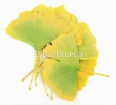 해외작가포토 - 클립아트코리아 :: 통로이미지(주) 건강,나무,누끼,대체의학,메모리,봄,사람없음,성장,스튜디오,식물,신선,아름다움,약초,여름... 