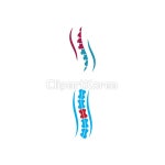 일러스트 - 클립아트코리아 :: 통로이미지(주) 갈비뼈,건강,고통,골격,골다공증,과학,누끼,돌보기,로고,벡터,뼈,신체,심벌,아이콘,오브젝트,요통... 
