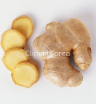 해외작가포토 - 클립아트코리아 :: 통로이미지(주) 땅속줄기,뜨거움,맛,사람없음,생물학,식물,음식재료,줄기,차이니즈,타이,해외포토,향신료