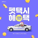 클립아트코리아 :: 통로이미지(주) __tr2022,강아지,고해상,광고,대중교통,돈,동전,반려동물,사람없음,웹배너,이벤트,자동차,택시,합성이미지