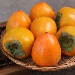 [초록팜] 대봉시 왕특(3L) 5kg/14-16개(개당310g이상)[실중량] - NS홈쇼핑